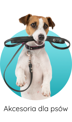 akcesoria dla psów