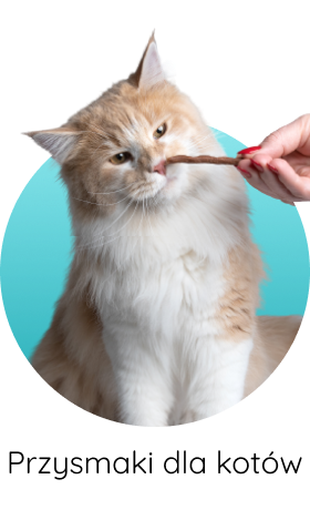 Przysmaki dla kotów