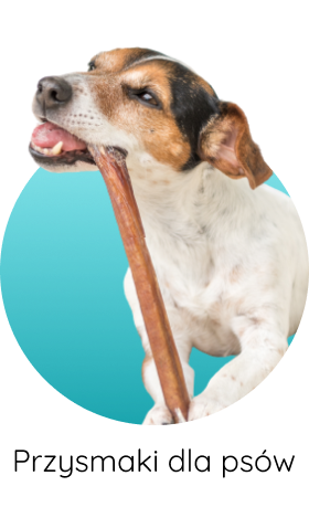 Przysmaki dla psów