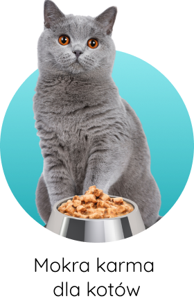 Mokra karma dla kotów