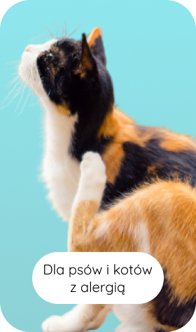 dla psów i kotów z alergią