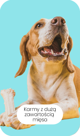 Karmy z duża zawartością mięsa