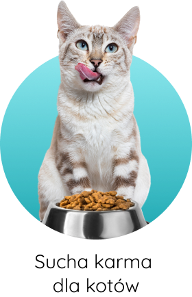 sucha karma dla kotów