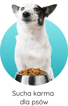 Sucha karma dla psów