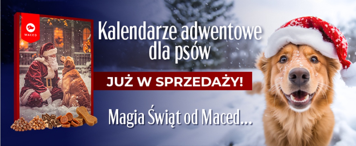 kalendarze adwentowe
