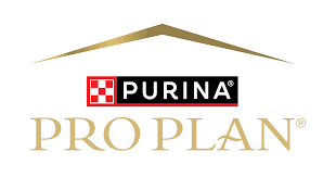 Pro Plan