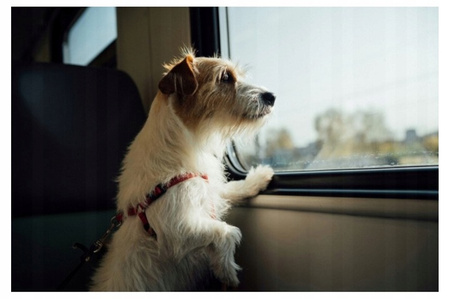 Zestaw chusteczek Earth rated