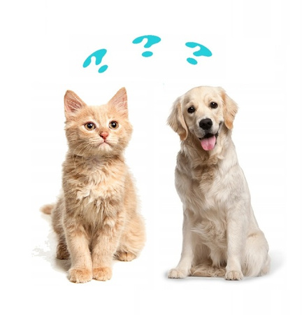 Holista Olej Omega 3 dla psa i kota 250ml