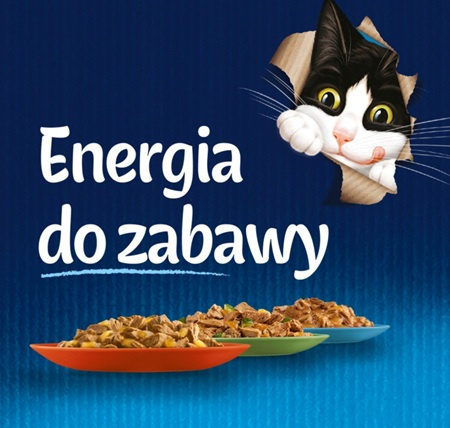 FELIX FANTASTIC Królik 85g