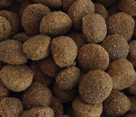 Biofeed Tasty Dogs Life Adult with Beef wołowina 12kg