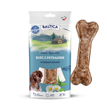 Baltica kość z pstrągiem