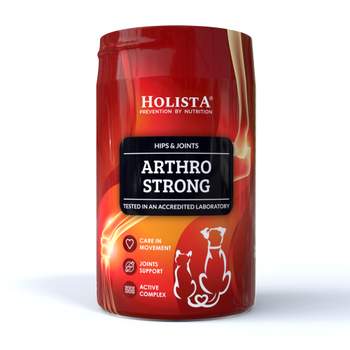 Holista Arthro Strong 200g